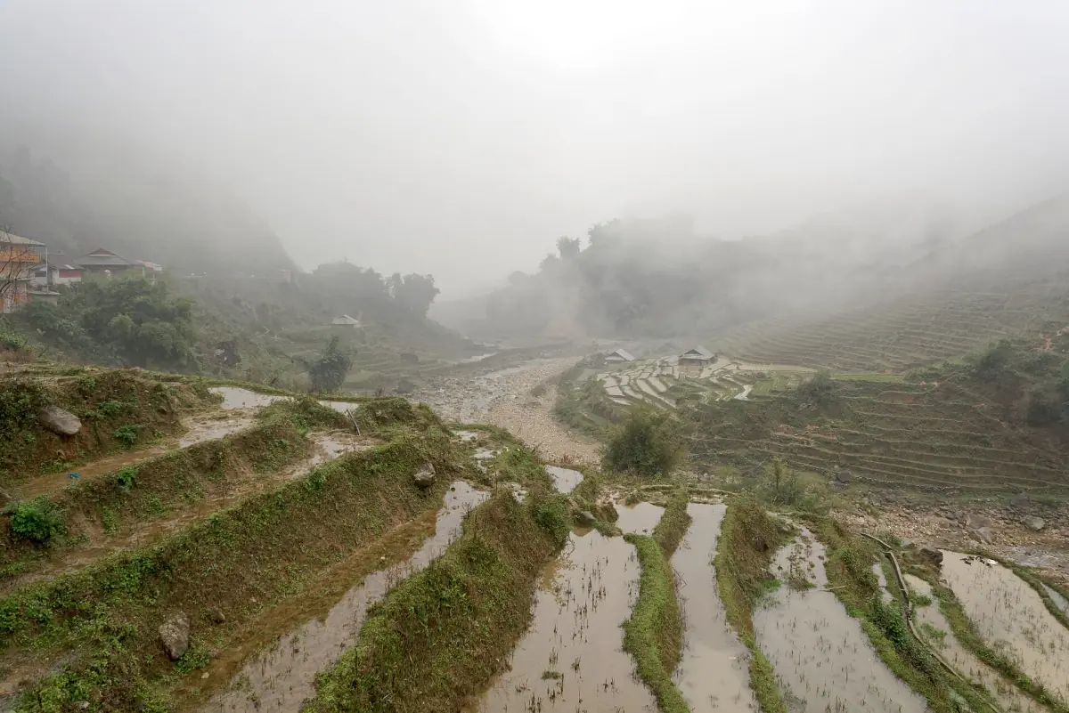 Geflutete Reisterrassen im Muong-Hoa-Tal