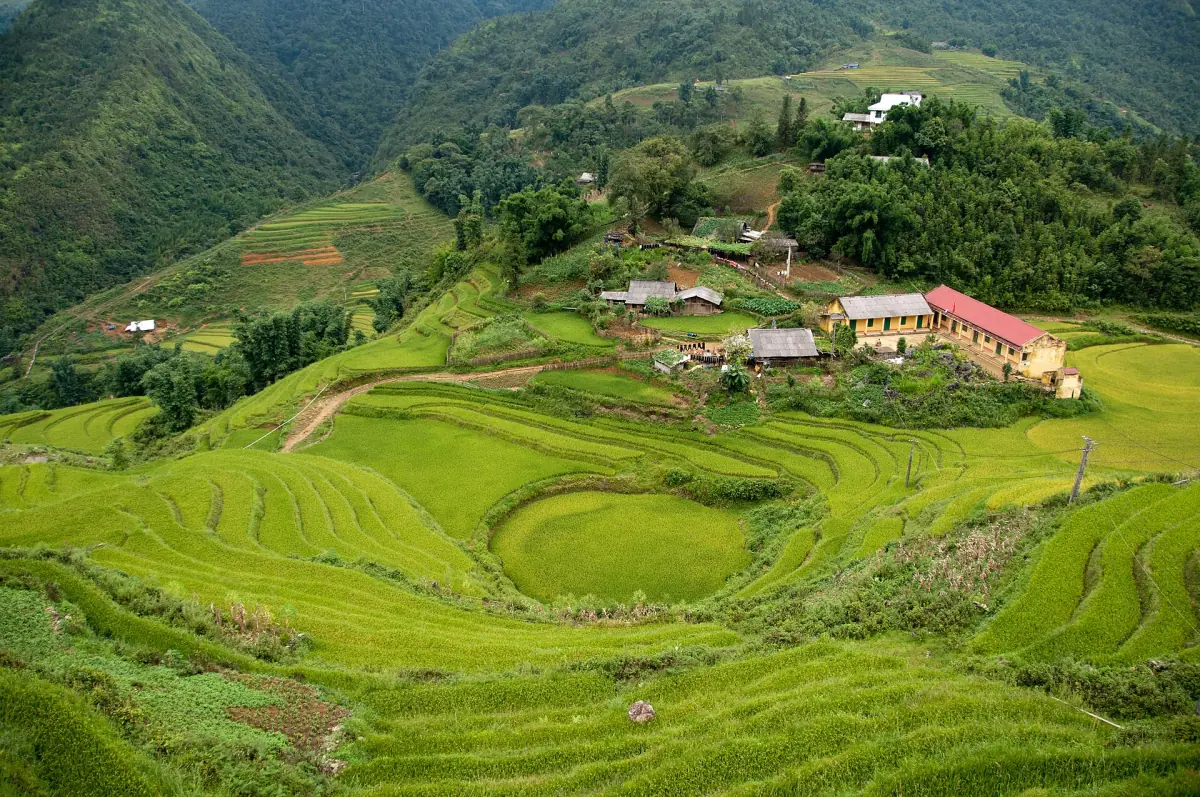 Reisterrassen und ein Dorf im Tal bei Sapa
